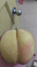 飛利浦（PHILIPS）藍(lán)牙耳機(jī)耳夾式骨傳導(dǎo)概念無(wú)線輕量款開放式重低音運(yùn)動(dòng)跑步降噪掛耳適用于蘋果華為小米TAQ2020-白 曬單實(shí)拍圖