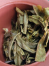 致云云南普洱茶上等懂過森韻生茶官方正品昆明干倉古樹級龍珠口糧茶 2顆（品鑒試喝裝） 曬單實拍圖