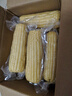 京鮮生東北白糯玉米250g*10棒 新鮮甜糯玉米棒真空包裝粘玉米 源頭直發(fā) 曬單實(shí)拍圖