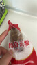 獐子島 大連即食海參1.2kg31-40只 固形物90%以上 海鮮水產(chǎn)中秋禮盒送禮 曬單實(shí)拍圖