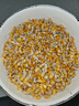 50斤新玉米粒大粒100斤干玉米粒玉米籽喂雞鴨鵝鴿子鳥(niǎo)鴿子飼料5斤 天然不打蠟無(wú)硫薰農家優(yōu)質(zhì)玉米粒 兩袋發(fā)20斤【純新糧到貨通風(fēng)晾曬】按需采購 曬單實(shí)拍圖