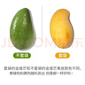 正宗金煌芒果【JD順豐中通速運】新鮮水果青皮芒果水果禮盒送禮 9斤【家庭暢享-超值裝】?jì)?斤 巨無(wú)霸果【單果300g+】越大越甜 曬單實(shí)拍圖