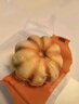TASTY ELF 低糖小南瓜面包1.1kg 1.1kg 曬單實(shí)拍圖
