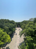 勞拉之星平衡墊瑜伽墊軟踏滑盤健身平板支撐核心瑜伽訓(xùn)練健腹輪跪墊 曬單實拍圖
