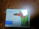 百雀羚（PECHOIN）面膜補水 小雀幸瀅潤補水保濕面膜20片草本溫和面膜送女友 曬單實(shí)拍圖
