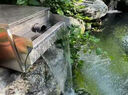 新勢(shì)力魚池過濾器系統(tǒng)凈化水循環(huán)室外庭院底濾滴流不銹鋼過濾設(shè)備大水泵 C800圓口過濾凈水套餐【適用30-50方】 曬單實(shí)拍圖