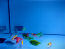 畫法幾何智能魚缸一體自循環(huán) 接入米家生態(tài)APP自動喂食 曬單實拍圖