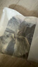 雅鹿2條100%純棉男士秋褲男保暖襯褲冬季薄款全棉7A抗菌棉毛打底單褲 曬單實(shí)拍圖