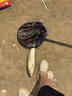 沃鼎王者神劍三代釣魚竿碳纖維超輕鯽魚竿大物竿魚桿臺(tái)釣竿6.3米 6.5H 曬單實(shí)拍圖