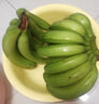 精品云南香蕉高山香蕉現(xiàn)摘新鮮水果甜生青香蕉banana自然熟綠皮 精品高山蕉 9斤 曬單實(shí)拍圖