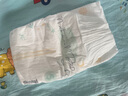 好奇（Huggies）小森林紙尿褲NB66片(5kg以下)尿不濕心鉆【透氧頂配更低敏】 曬單實拍圖
