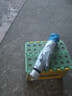 【全網(wǎng)爆款】手動(dòng)UV折疊雨傘男女晴雨傘兩用防曬遮陽(yáng)黑膠傘 【新人福利】7骨 純色隨機無(wú)黑膠 曬單實(shí)拍圖