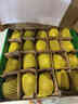 佳沛（zespri）x1號會員店聯(lián)名款陽光金奇異果20粒禮盒單果約146-175g水果獼猴桃 曬單實拍圖
