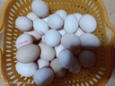無抗鮮雞蛋 谷物喂養(yǎng)鮮雞蛋 單枚50g-60g 早餐食材 蛋香味十足 30枚裝 曬單實拍圖