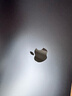 Apple/蘋(píng)果AI筆記本/2025款MacBook Air13英寸M4 (10+8核) 16G 256G午夜色電腦MW123CH/A 曬單實(shí)拍圖
