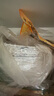 阿麥斯 藍(lán)牙無(wú)糖棒棒糖 12g/盒 海鹽檸檬味 可充電音樂(lè)棒棒糖 休閑零食 曬單實(shí)拍圖