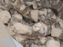 GUO LIAN國聯(lián) 無(wú)人工保水劑黑虎蝦仁 去冰凈重2斤 90-130只 京東品質(zhì)保障 曬單實(shí)拍圖