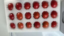 京鮮生沙瓤粉西紅柿 凈重3斤 單果100g+果菜兩吃 源頭直發(fā) 【搜生鮮館】 曬單實(shí)拍圖