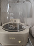 World Kitchen康寧養生壺全玻璃恒溫壺家用多功能辦公室煮茶器燒水壺花茶 1.2L山姆升級款【玻璃壺+茶漏+燉盅】 曬單實(shí)拍圖
