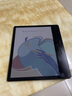 掌閱（iReader）Ocean 4C【國家補貼】7英寸彩色墨水屏 電子書(shū)閱讀器 輕薄便攜閱讀電紙書(shū) 手寫(xiě)平板學(xué)習筆記辦公本 曬單實(shí)拍圖