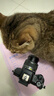 佳能 Canon EOS M3 M5 M50 M6 M100 M200 微單相機 入門(mén)學(xué)生旅游相機 佳能M50二代套機鏡頭+50/1.8小痰盂+轉接環(huán) 95成新 曬單實(shí)拍圖