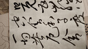 紅星 玄宗墨汁 書(shū)法國畫(huà)專(zhuān)用作品墨液 中濃超濃高檔創(chuàng  )作練習大容量墨水 玄宗超濃500ml 曬單實(shí)拍圖