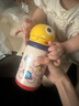 babycare兒童水杯6個(gè)月以上寶寶霸王龍不銹鋼保溫杯上學(xué)450ml-新舊款混發(fā) 曬單實(shí)拍圖