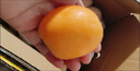 正宗云南蒙自枇杷5斤純甜新鮮水果當季現摘止咳大五星長(cháng)虹琵琶y 1斤中果【現摘現發(fā)】 曬單實(shí)拍圖