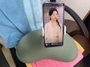 賽鯨手機(jī)支架抱枕支架桌面床上落地支架抱枕創(chuàng)意懶人支架沙發(fā)落地枕頭直播躺著宅在家追劇神器 曬單實(shí)拍圖