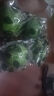 【獨(dú)立包裝】新鮮現(xiàn)摘青檸檬非無籽檸檬茶飲搭檔 單果80克 青檸檬1粒嘗鮮裝 曬單實(shí)拍圖