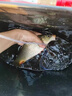 JCZS魚(yú)餌料野戰藍鯽X5濃腥純香魚(yú)餌臺釣野釣鯽魚(yú)鯉草鳊老三樣餌料 野戰藍鯽X5腥香300克(1袋) 藍色 曬單實(shí)拍圖