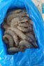 百鮮洽超大蝦新鮮大蝦冷凍鮮活青島大蝦批發(fā)整箱基圍蝦青蝦 【特大蝦王17-21cm】 3斤(凈重) 曬單實(shí)拍圖