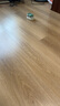希望樹 除甲醛雙艙除醛寶5罐裝小綠罐除醛果凍新房室內(nèi)家用甲醛清除劑 曬單實拍圖