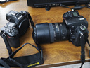 尼康（Nikon）【價(jià)保11.11】Z6III (Z6 3/ Z63 / Z6三代 )  全畫(huà)幅微單機身  高清攝影攝像視頻 數碼相機 曬單實(shí)拍圖