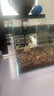 YEE魚(yú)缸金晶超白金魚(yú)裸缸8060家用客廳桌面小草缸龜缸玻璃生態(tài)溪流缸 【送上樓】60*30*35*6mm裸缸【推薦】 曬單實(shí)拍圖