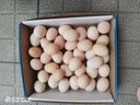 散養農家土雞蛋草雞蛋40-50g 溏心蛋早餐新鮮雞蛋京東包郵買(mǎi)菜 40枚土雞蛋 曬單實(shí)拍圖