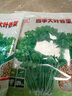 易發(fā)芽大葉香菜種子香菜籽耐熱四季陽(yáng)臺室內盆栽種籽蔬菜種子大全 四季大葉香菜約5000粒5包 曬單實(shí)拍圖