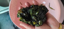 海帶嫩苗霞浦海帶苗火鍋3秒菜涼拌菜海帶苗海帶嫩苗霞浦特產(chǎn)海產(chǎn) [頭水海帶嫩苗]500g*1 曬單實(shí)拍圖