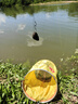 simago喜曼多釣魚(yú)傘遮陽(yáng)傘防暴雨防紫外線(xiàn)防曬防風(fēng)萬(wàn)向釣傘 黑膠傘1.8米 曬單實(shí)拍圖