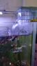 YEE小魚(yú)缸過(guò)濾器循環(huán)水泵外置瀑布凈水壁掛滴流盒過(guò)濾制氧一體機3w 曬單實(shí)拍圖