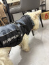 超可耐防風(fēng)防水柯基衣服柴犬雪納瑞泰迪冬季保暖狗狗衣服2025可牽引棉衣 隕石灰 XL碼（適合15-19斤） 曬單實(shí)拍圖