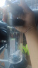 慕馨（moosen）玻璃杯茶杯男高端商務(wù)辦公室泡茶杯茶水分離杯子智能便攜車(chē)載水杯 尊貴黑(關(guān)注得杯套杯刷） 曬單實(shí)拍圖