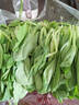 彩虹雨  北京農(nóng)場(chǎng)有機(jī)上海青小油菜250g 歐盟認(rèn)證有機(jī)蔬菜生鮮自有農(nóng)場(chǎng) 曬單實(shí)拍圖