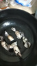 賣魚七郎全籽筆管魚2斤（含保護冰100g）魷魚海兔子籽烏滿籽帶籽軟足類 曬單實拍圖