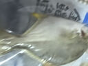 1號會(huì )員店（One's Member）甄選海南二去金鯧魚(yú)去鰓去內臟生鮮魚(yú)類(lèi) 海鮮水產(chǎn) 700g/2條裝 曬單實(shí)拍圖