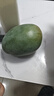 【新鮮上市】正宗攀枝花凱特芒果新鮮水果 帶箱2斤200g+ 曬單實(shí)拍圖