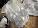 【專業(yè)洗鞋】運動鞋清洗 洗小白鞋/帆布鞋/網面鞋 洗鞋服務 洗鞋干洗 上門取送 干洗鞋子 洗鞋3雙 點擊去定制選擇上門時間 曬單實拍圖