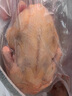 鴿子新鮮現殺活體非土鴿子老鴿子乳鴿鮮農家散養煲燉湯生鮮鴿子肉 2只+料包【每只8兩以上】急凍鎖鮮 曬單實(shí)拍圖