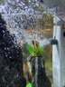 森森 小鯉魚缸過濾器凈水循環(huán)三合一內(nèi)置水族箱過濾系統(tǒng)XQP-500F 6W 曬單實(shí)拍圖