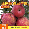 現(xiàn)摘當(dāng)季云南昭通野生丑蘋果冰糖心蘋果水果新鮮脆甜大果5/10斤 中果70mm-75mm脆甜 5斤 曬單實拍圖